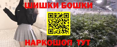 стафф Новодвинск