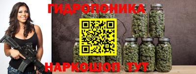 стафф Новодвинск