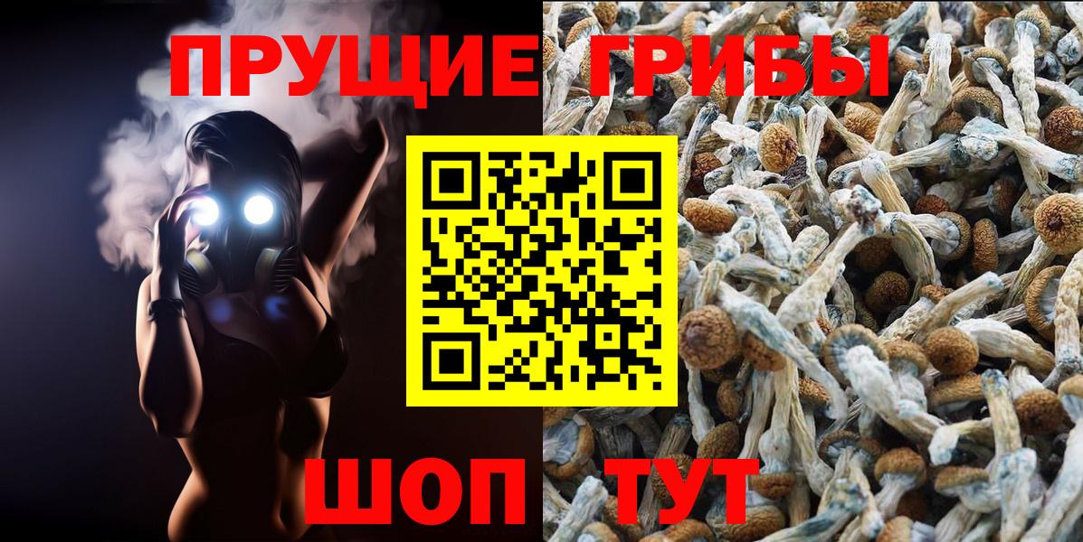 Серов  Галлюциногенные грибы Magic Shrooms  Вход с VPN 