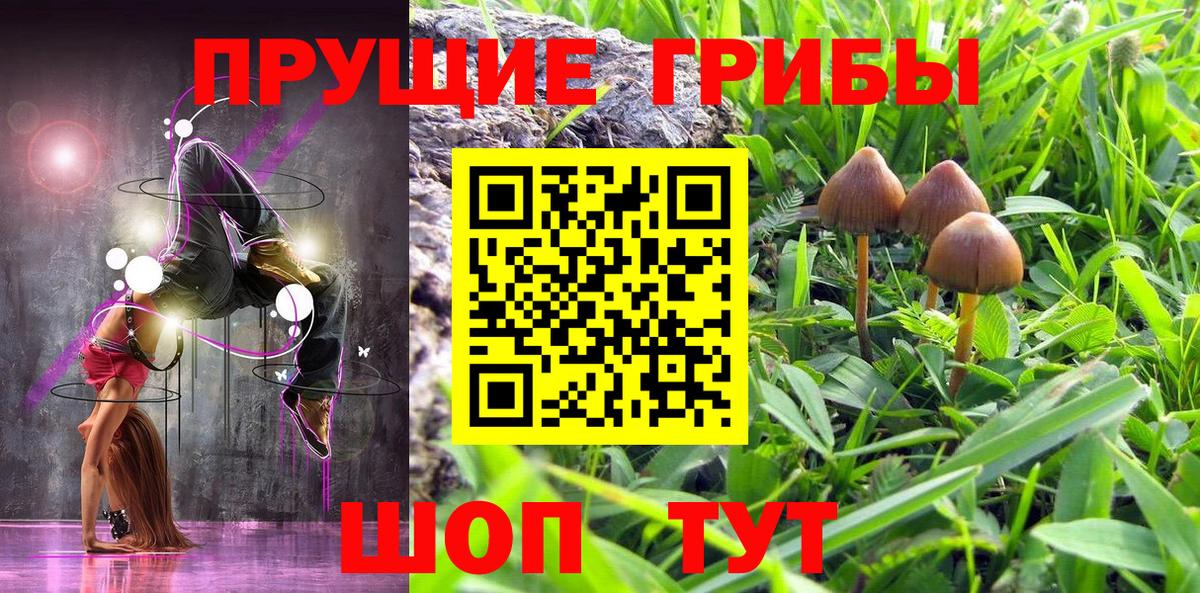 Галлюциногенные грибы мицелий Серов